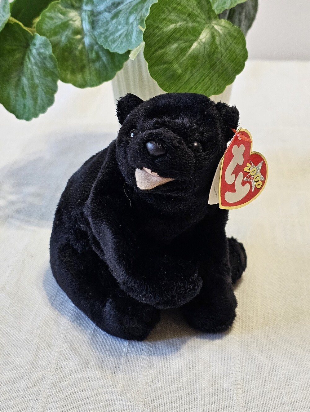 TY Beanie Baby Cinders Black Bear 2000 Plush with Tags